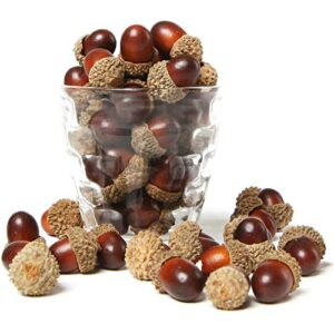 mygift 100 pieces brown assorted artificial acorn caps, autumn vase filler decorations