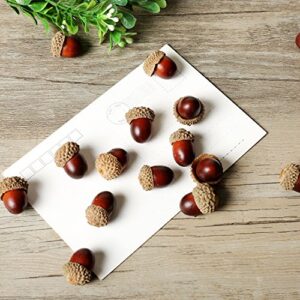 MyGift 100 Pieces Brown Assorted Artificial Acorn Caps, Autumn Vase Filler Decorations