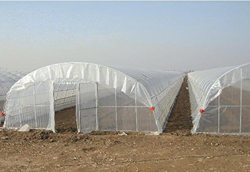 Agfabric Greenhouse Film 6x16ft 3.1Mil Plastic Covering Clear Polyethylene UV Resistant