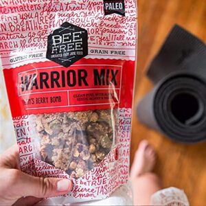 BeeFree Warrior Mix Gluten Free Granola - Soft Chunky Granola Bites | Paleo Granola, Low Carb, Grain Free, Preservative Free, Oat Free | Granola for Yogurt, Low Calorie Snacks | Hagen’s Berry Bomb, 9 Ounce Bag