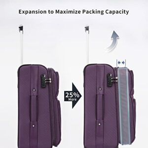 Merax Expandable Carry On Luggage TSA Lock Soft Suitcase Sets With Spinner Wheels Purple