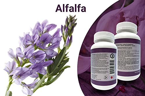 Natural Alfalfa Supplement 500mg 250 Capsules [1 Bottles] by Total Natural, Rich in Vitamins & Trace Minerals, Promotes Energy & Vitality, Promotes Digestive Health