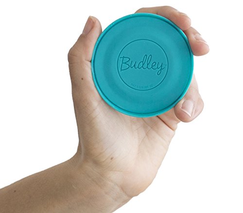 Budley - Tangle-Free Earphone/Earbud Case, Compact Storage System, Silicone (Teal, Set of 1)