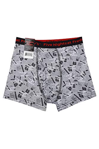 Intimo Boys' Big Five Nights at Freddy's Underwear 2 Pack, Multi-Colored, 10