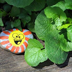 Creativity for Kids Hide & Seek Rock Painting Kit - Arts & Crafts For Kids - Includes Rocks & Waterproof Paint