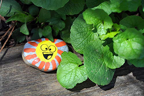 Creativity for Kids Hide & Seek Rock Painting Kit - Arts & Crafts For Kids - Includes Rocks & Waterproof Paint