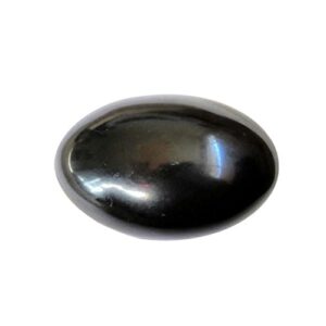 samriddhi shaligram stone - pure & original