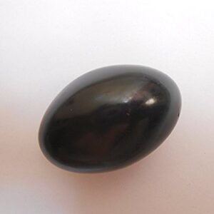 SAMRIDDHI Shaligram Stone - Pure & Original