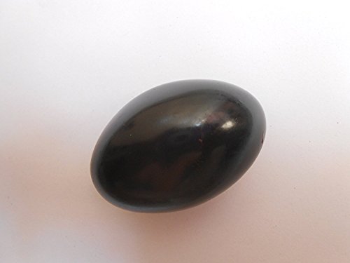 SAMRIDDHI Shaligram Stone - Pure & Original