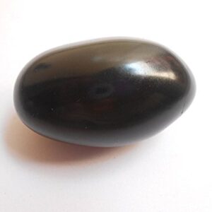 SAMRIDDHI Shaligram Stone - Pure & Original