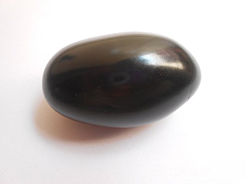 SAMRIDDHI Shaligram Stone - Pure & Original