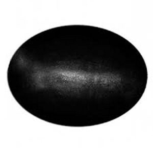 SAMRIDDHI Shaligram Stone - Pure & Original