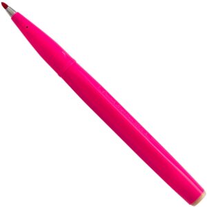 Pentel Arts Sign Pen Brush Tip, Assorted Ink, 6-Pk (S520RBP6M)