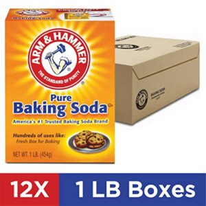 Arm & Hammer Baking Soda, 1 Pound (Pack of 12)