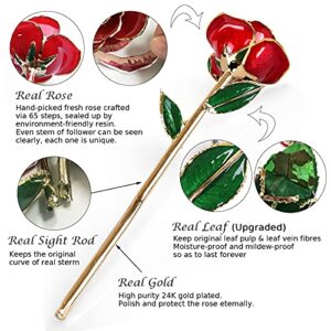 Sinvitron Red Real Rose Flowers, Gold Dipped Rose, Plated Real Rose with Stand & Box, Gift for Mom, Mothers Day, Thanksgiving, Birthday, Anniversary, Wedding, Valentines Day Gifts for her