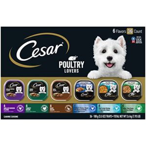 cesar adult wet dog food classic loaf in sauce poultry lovers variety pack, 3.5 oz. easy peel trays with real chicken, turkey or duck, pack of 36