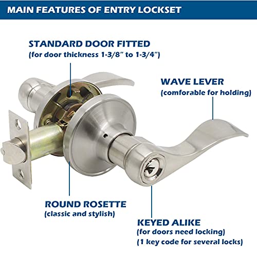 Gobrico Brushed Nickel 2 Keyed-Alike Entry Door Locksets with Lock and Same Key Wave/Drop-Style Interior/Interior Door Handles with Universal Levers