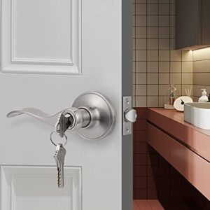 Gobrico Brushed Nickel 2 Keyed-Alike Entry Door Locksets with Lock and Same Key Wave/Drop-Style Interior/Interior Door Handles with Universal Levers