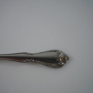 Arbor Rose/True Rose by Oneida, Stainless Place Soup Spoon