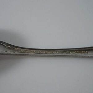Arbor Rose/True Rose by Oneida, Stainless Place Soup Spoon