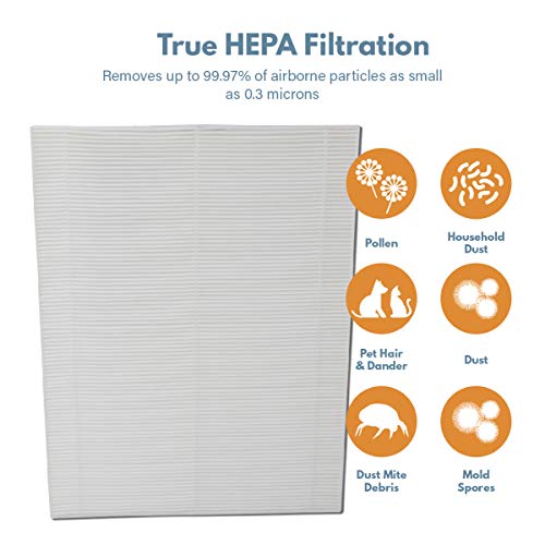 Filter-Monster 115115 True HEPA Replacement Filter A Combo Compatible with Winix Plasmawave Series Air Purifier Models 6300, P300, 5300, 5500, 5300-2, 6300-2, C535