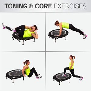 Maximus HIIT Bounce PRO USA | Exercise Trampoline for Adults | Folding Rebounder with Flat or Incline | Plus DVDs for Fitness & Weight Loss and Free Online Video’s | Max 400lbs | Already Assembled