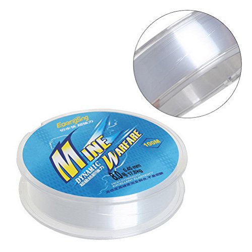 Clear Fishing Line, 110Yards/100M Nylon Monofilament Fishing Wire Strong Fly Line Backing Craft DIY Tool