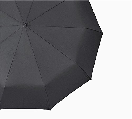 TRADE® Travel Umbrella, Cortex Hook Handle Auto Open & Close Vented Windproof UV Protection Umbrellas with 10 Metal Ribs and Large Canopy for Business Man (Black)