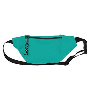 DALIX Fanny Pack w/ 3 Pockets Traveling Concealment Pouch Airport Money Bag (Aqua)