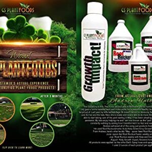 Green Envy Liquid Lawn Food / Fertilizer Concentrate for Any Grass Type (1 Gallon), Turf Care & Healthy Grass