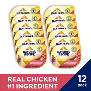 Nature's Recipe Wet Dog Food, Chicken & Wild Salmon in Broth Recipe, 2.75 Ounce Cup (Pack of 12)