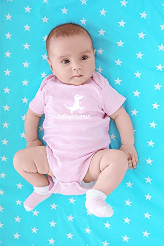 Crazy Bros Tees Babysaurus - Little Baby Dino Funny Cute Novelty Infant One-Piece Baby Bodysuit (12 Months, Pink)