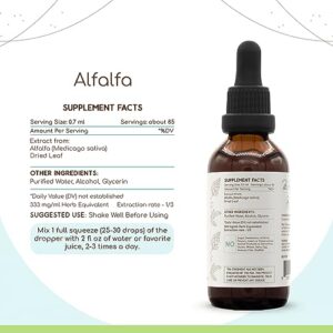Alfalfa A60 Alcohol Herbal Extract Tincture, Concentrated Liquid Drops Natural Alfalfa (Medicago Sativa) (2 fl oz)