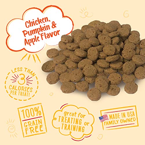 Charlee Bear Crunch Chicken, Pumpkin & Apple Flavor Dog Treat and Snack (3 Pack) 8 oz Each