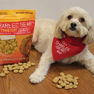 Charlee Bear Crunch Chicken, Pumpkin & Apple Flavor Dog Treat and Snack (3 Pack) 8 oz Each