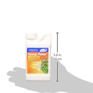 Monterey LG 5588 LG5588 Spurge Power Broadleaf Weed Kill, 8-Ounces