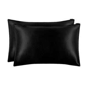 LILYSILK 2pc Silk Pillowcase Set Standard Luxury Both Sides Real 19 Momme Mulberry Charmeuse Black Standard