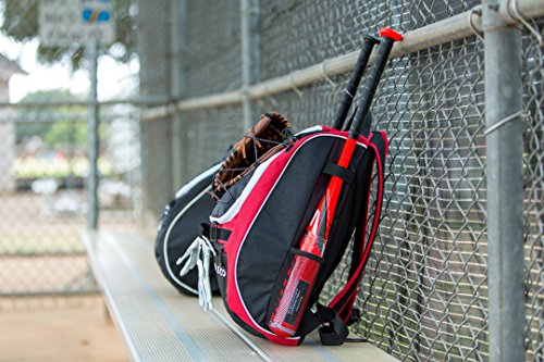 Athletico Baseball Bat Bag - Backpack, T-Ball & Softball Equipment & Gear for Youth and Adults | Holds Helmet, Glove | Shoe Compartment & Fence Hook (Magenta)