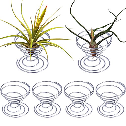 Shappy 6 Pieces Air Plant Stand Airplant Container Tillandsia Holder Stainless Steel Plant Display Racks, Silver