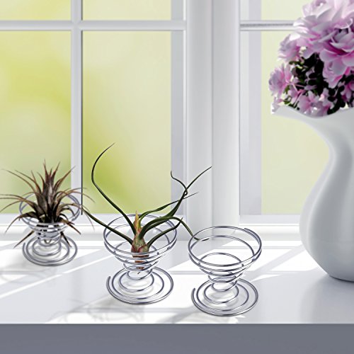 Shappy 6 Pieces Air Plant Stand Airplant Container Tillandsia Holder Stainless Steel Plant Display Racks, Silver