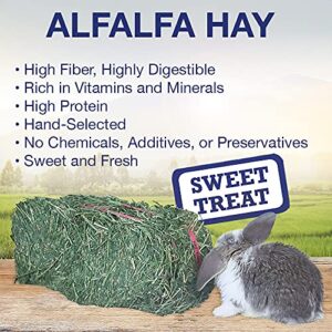 Grandpa's Best Alfalfa Hay, 5 lbs