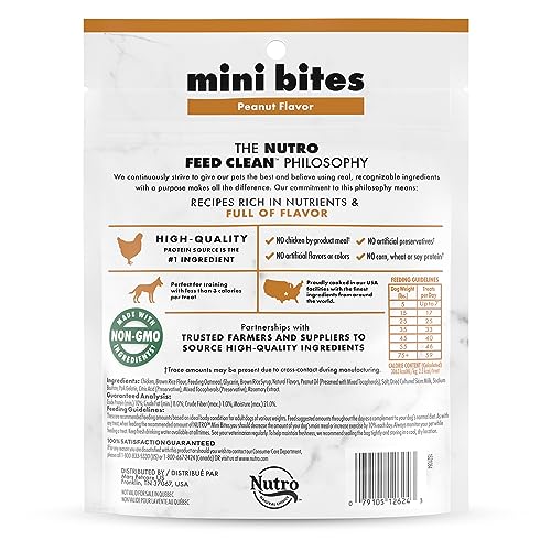 NUTRO Mini Bites Dog Treats Peanut Flavor, 8 oz. Bag