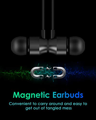 PALOVUE Lightning Headphones Earphones Earbuds in-Ear Magnetic MFi Certified with Microphone Compatible iPhone 14 13 12 11 Pro Max iPhone X XS Max XR iPhone 7 8 Plus iPad Metallic Black