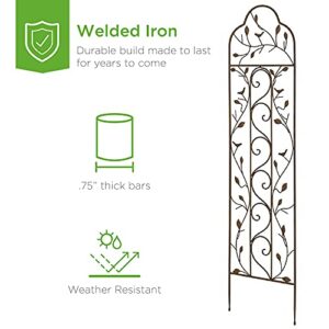 Best Choice Products 60x15in Iron Garden Trellis, Arched Outdoor Decoration w/Branches, Birds for Lawn, Garden, Backyard, Climbing Plants - Bronze