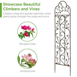 Best Choice Products 60x15in Iron Garden Trellis, Arched Outdoor Decoration w/Branches, Birds for Lawn, Garden, Backyard, Climbing Plants - Bronze