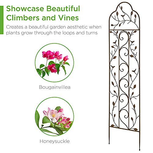 Best Choice Products 60x15in Iron Garden Trellis, Arched Outdoor Decoration w/Branches, Birds for Lawn, Garden, Backyard, Climbing Plants - Bronze