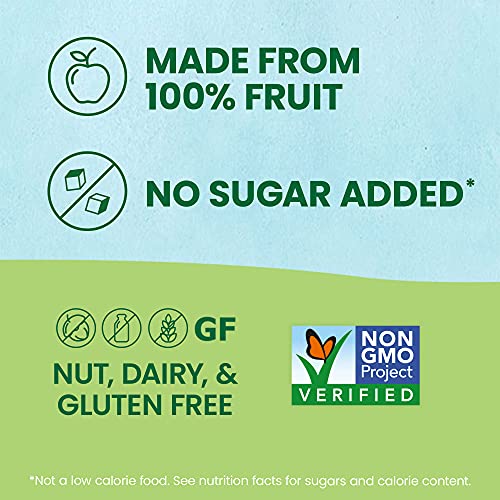 GoGo squeeZ Fruit on the Go Variety Pack, Apple, Peach & Gimme Five!, 3.2 oz (Pack of 20), Unsweetened Fruit Snacks for Kids, Gluten Free, Nut Free and Dairy Free, Recloseable Cap, BPA Free Pouches