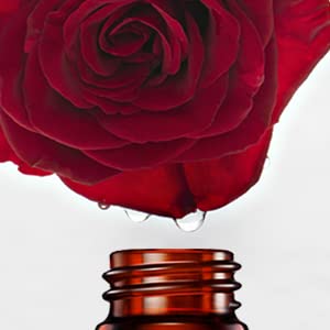 Rose Essential Oil 100% Pure Organic Rose Oil for Diffuser, Perfume, Massage, Aroma, Bath - 10ML