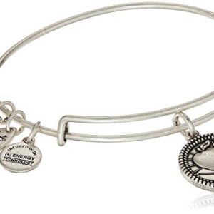 Alex and Ani Occupations Expandable Bangle for Women, Teacher Charm, Rafaelian Silver Finish, 2 to 3.5 in