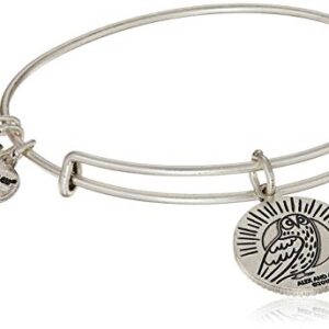 Alex and Ani Occupations Expandable Bangle for Women, Teacher Charm, Rafaelian Silver Finish, 2 to 3.5 in